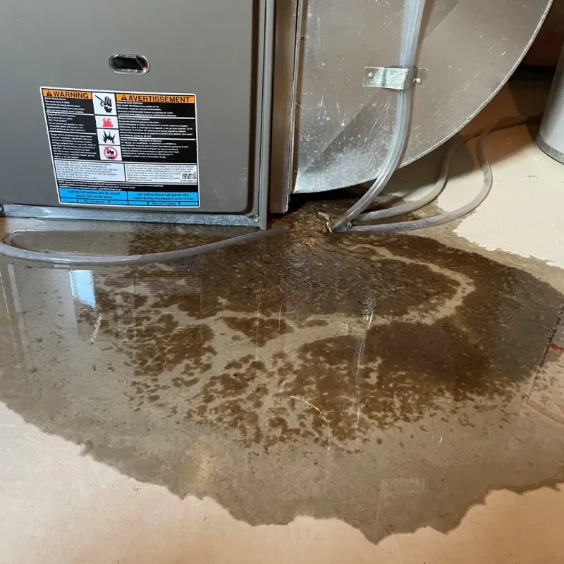 Appliance Leak Cleanup in Golden Beach, MD